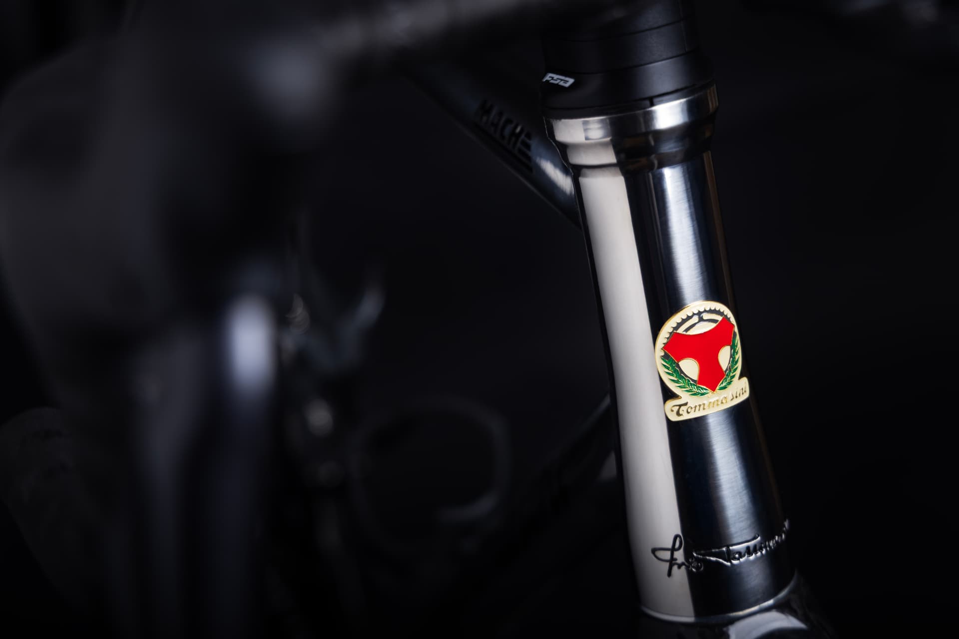 Close-up of the enamelled Tommasini head badge on the polished Mach Ti head tube