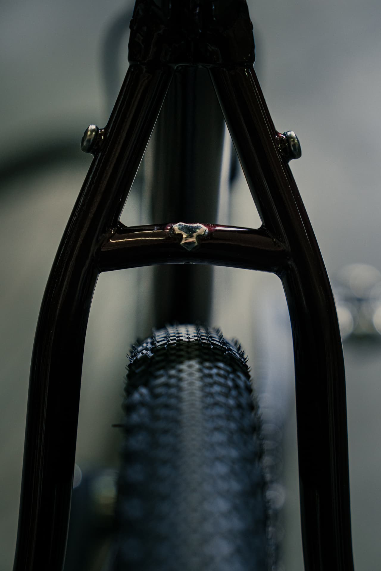 Macro of the burgundy Controvento seat stay bridge and gravel tyre clearance