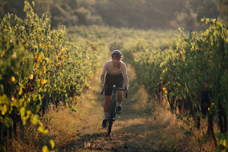 Cyclist riding between vineyard rows in Maremma at sunset